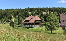 Hotel Hirschen